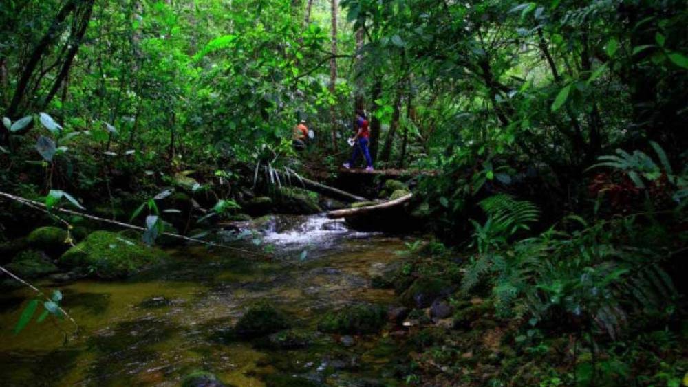 Las Siete Maravillas De San Pedro Sula Que Tienes Que Visitar