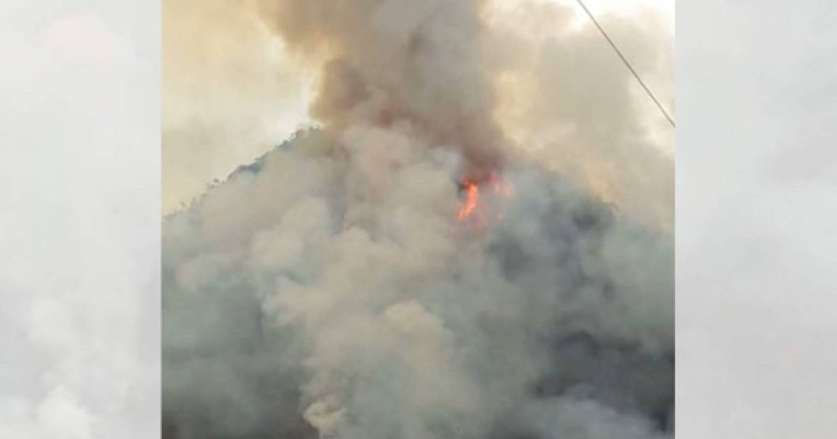 Incendio Consume Bosque Del Parque Nacional Monta A De Celaque