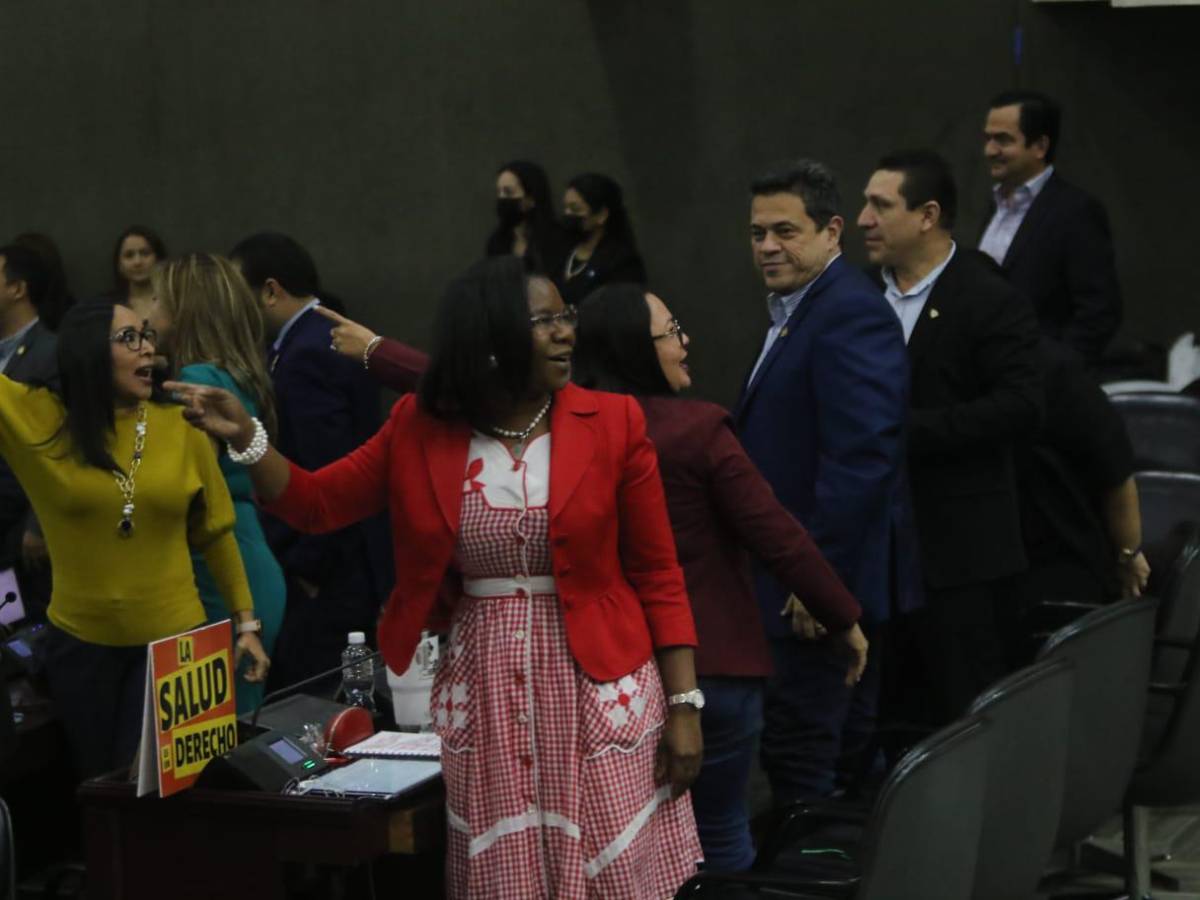 Diputados de Libre y el PN se van a golpes en sesión