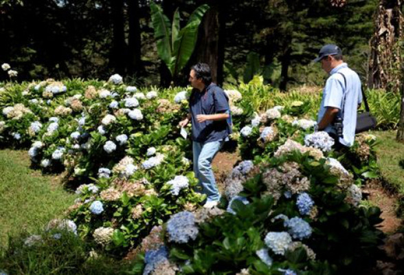 Trifinio Fraternidad Nueva Reserva De La Biosfera De La Unesco