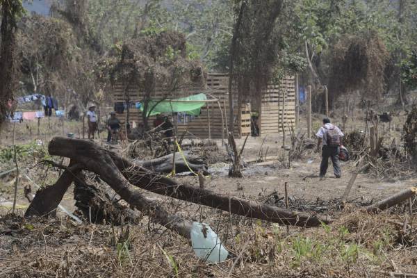 Invasores Ya Construyeron Casas De Madera En El Acu Fero Sunseri