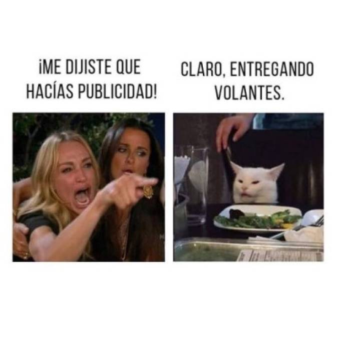 Los memes más divertidos del gato y me dijiste que