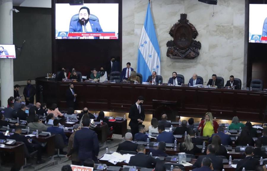 Comisión debe rendir informe al pleno antes del 25 de enero