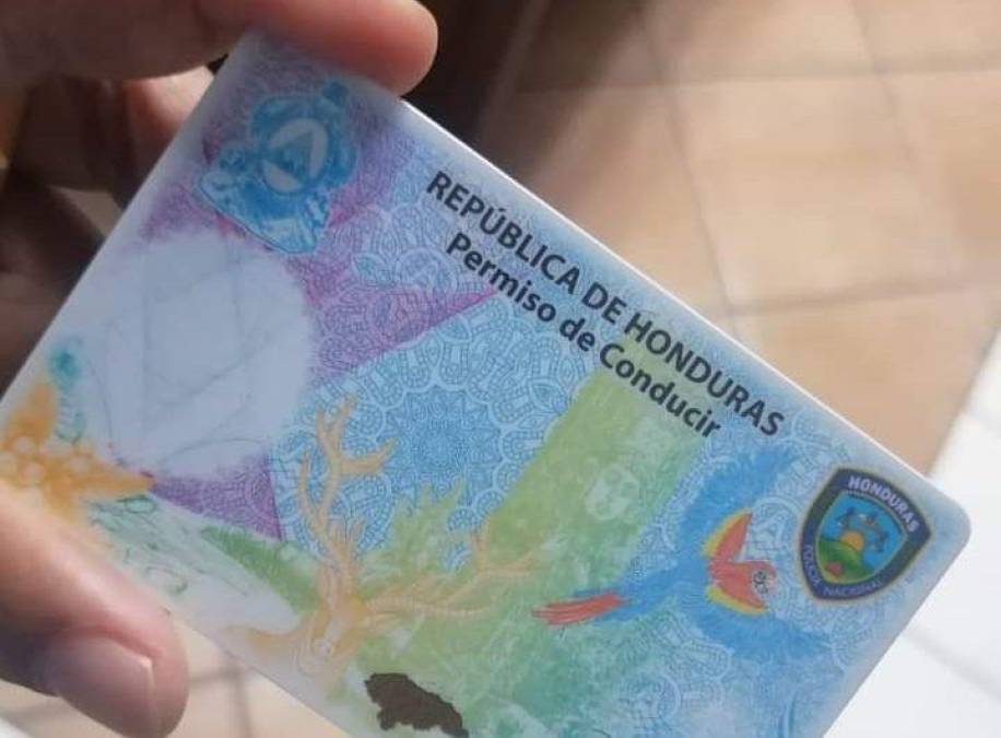 C Mo Funcionar La Emisi N Digital De La Licencia De Conducir En Honduras